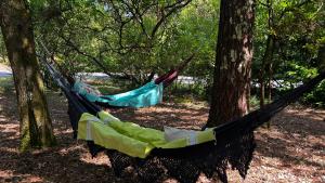 Chalets Le Cabanon entoure de Pins : photos des chambres