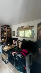 Chalets Le Cabanon entoure de Pins : photos des chambres