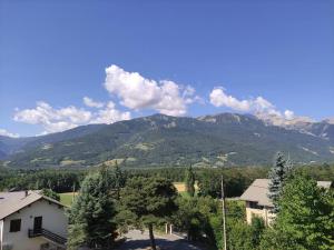 Appartements Bel appartement T2 avec vue et balcon a Barcelonnette - FR-1-804-27 : Appartement