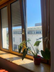 Heart of the city big 1BR on Independence square