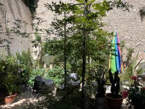 B&B / Chambres d'hotes Chambre Veteranova : photos des chambres