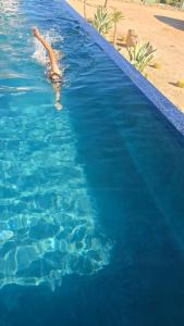 La Ventana New 2025 Luxury Pickleball Pool Jacuzzi Sauna Cold Plunge