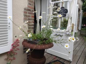 B&B / Chambres d'hotes chambre le nid du phare avec jacuzzi : photos des chambres