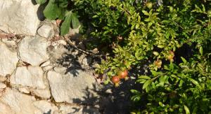 Unique stone apartment Villa M