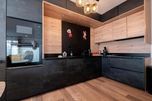 Disneyland-Paris, 12 pers, 2 parkings, Wifi