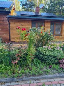 Leśna Polana- Kompleks Domków Mieszkalnych