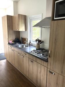 Lodge De Winterkoning