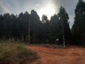 Simply Rooted Cottage