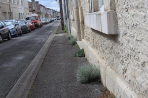 B&B / Chambres d'hotes Suite en Terrasse a Cognac : photos des chambres