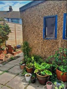 Cozy Private Studio London ,25 mins Kings Cross ,Private Entry Studio