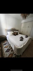 Paradise Gardens Luxury Oasis