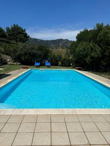 Una Foresta sul Mare img15