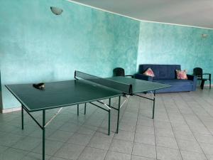 Una Foresta sul Mare img18