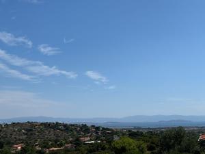 Una Foresta sul Mare img24