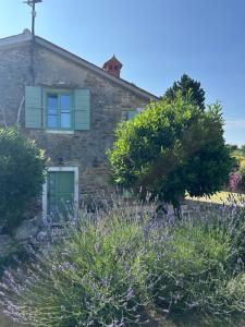 Istrian green house 