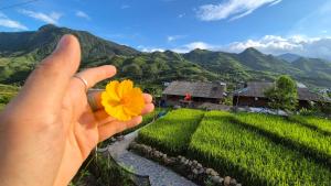 The Zen House Sapa