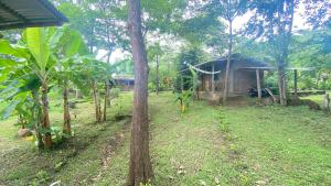 Dragons Garden Dormitorio