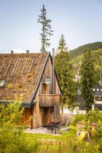 Fajna chata - Ski-in chalet in Jasna
