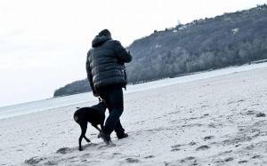 ХОТЕЛ за кучета Киноложки център СТИФ