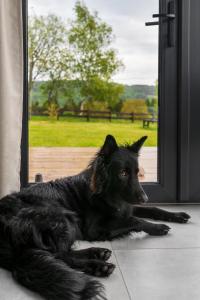 Domki z widokiem na Sowę