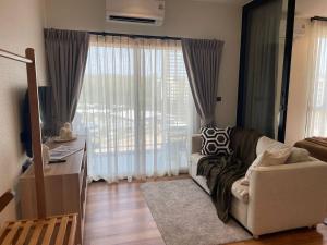 Coco Calm Title Halo 1