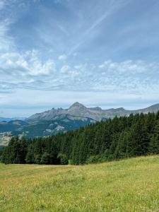 Appartements Location en Val d-Arly avec vue : photos des chambres