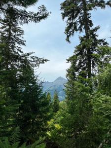 Appartements Location en Val d-Arly avec vue : photos des chambres