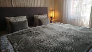 Interlaken house with Harder Kulm view