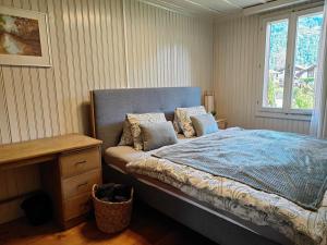 Interlaken house with Harder Kulm view