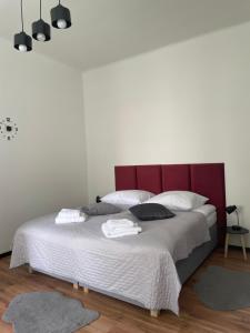 Cherry Apart Legionów 24