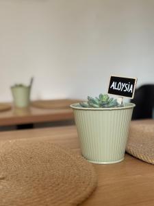 Casa Botanya - Guesthouse