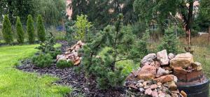 Apartament Słoneczna polana