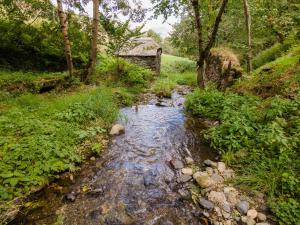 Chalets Magnifique chalet a 3km PEYRAGUDES PYRENEES LUCHON : photos des chambres