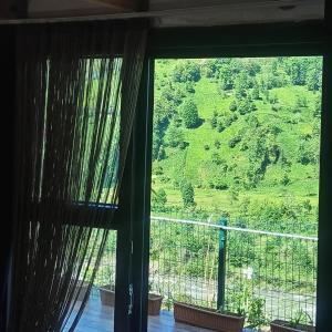 Peaceful wooden house in the heart of nature - Ubytování bez kategorie ve městě Ardeşen