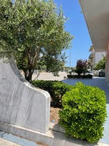 Adriatic Sea - La Casa Di Elena