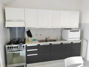 Seagulls, Elegance and Freedom