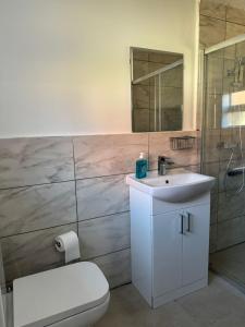 Newly built studio apartment