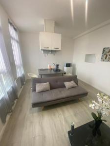 Appartements La VIVA-Hope1er : photos des chambres
