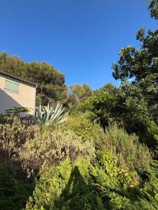 Villas Lourmarin Country House : photos des chambres