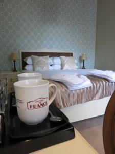 Hotels Logis Hotel De France : photos des chambres