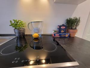 Modern 52 m2 apartment with air conditioning close to Messe Düsseldorf & Köln
