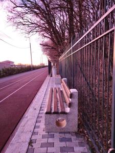 Simple and Cozy Room in Voluntari