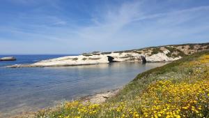 Le Terrazze della Planargia B&B img14