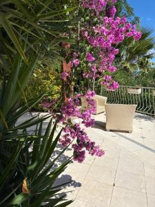 B&B / Chambres d'hotes Villa Gloria : photos des chambres
