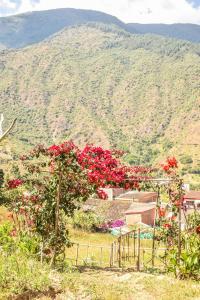 Las Valkirias - Chalet el encanto