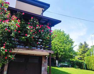 ZNK Family House