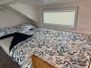 Tiny House Azyl Wolności