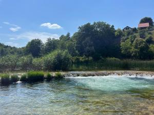 Kuća za odmor PIKA - Mrežnica