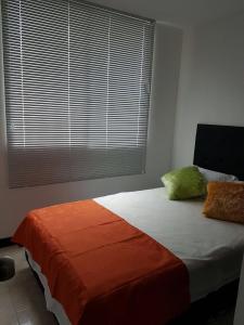 Perfectas Vacaciones a minutos de Parques Tematicos