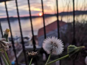 Saint James Apartment